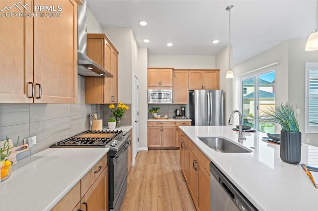 48 Mayflower Park Pl, Colorado Springs, CO 80905 - kitchen with appliances with stainless steel finishes, a sink, wall chimney exhaust hood, light wood-style flooring, and light countertops