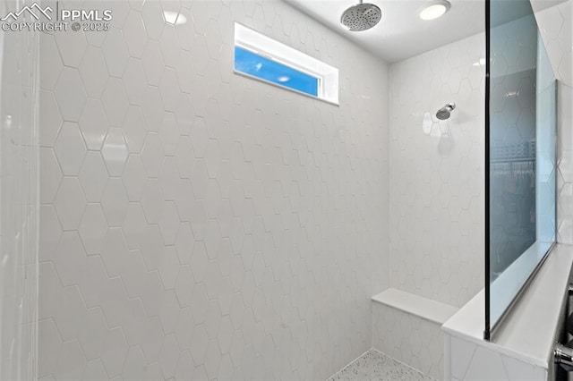 48 Mayflower Park Pl, Colorado Springs, CO 80905 - bathroom featuring a tile shower