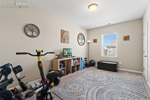 48 Mayflower Park Pl, Colorado Springs, CO 80905 - exercise room featuring carpet and baseboards