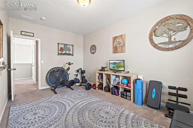 48 Mayflower Park Pl, Colorado Springs, CO 80905 - rec room featuring carpet and baseboards
