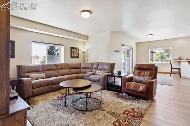 living room with plenty of natural light, baseboards, and wood finished floors