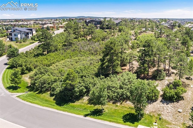 1725 Vine Cliff Hts, Colorado Springs, CO 80921