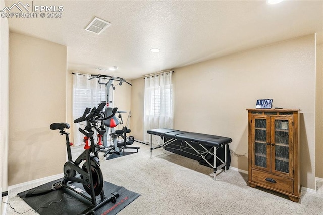 620 Jayton Dr, Colorado Springs, CO 80911 - exercise room featuring carpet floors, visible vents, and baseboards