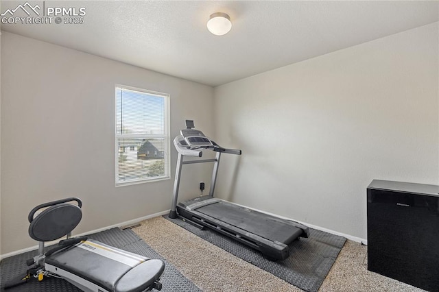 7256 Josh Byers Way, Fountain, CO 80817 - exercise room featuring baseboards and carpet flooring