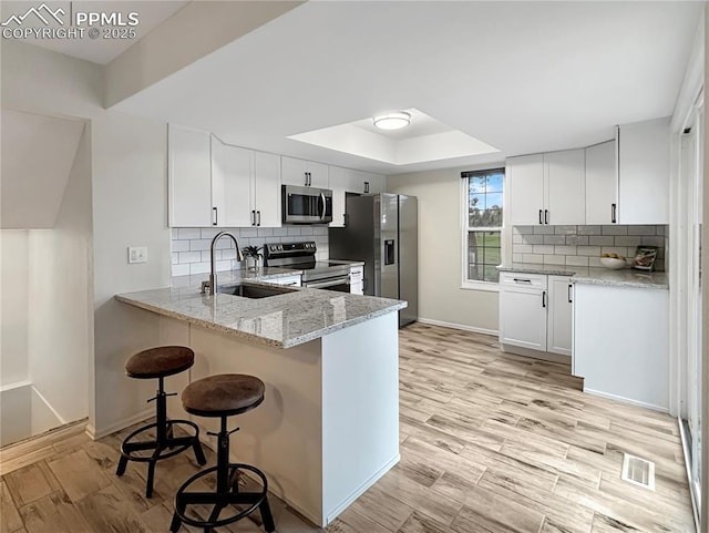 422 Cobblestone Dr, Colorado Springs, CO 80906 - kitchen with a tray ceiling, light stone countertops, a sink, a peninsula, and stainless steel appliances