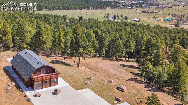 bird's eye view