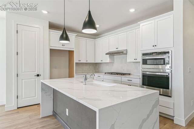 4331 Soapberry Pl, Castle Rock, CO 80108 - kitchen featuring light stone counters, white cabinets, under cabinet range hood, stainless steel appliances, and a sink