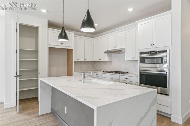 4331 Soapberry Pl, Castle Rock, CO 80108 - kitchen with light wood-type flooring, white cabinetry, under cabinet range hood, stainless steel appliances, and a sink