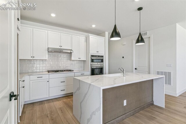 4331 Soapberry Pl, Castle Rock, CO 80108 - kitchen with visible vents, a sink, appliances with stainless steel finishes, light wood-style floors, and under cabinet range hood