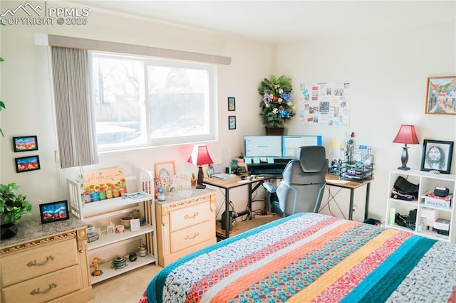bedroom with carpet