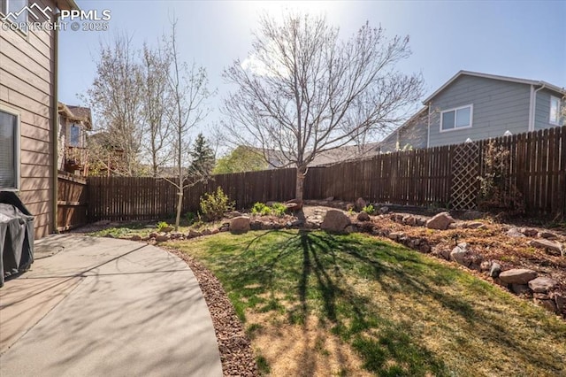 view of yard featuring a fenced backyard and a patio area