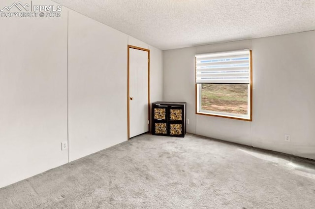 spare room with carpet floors and a textured ceiling