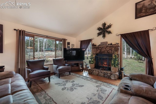 living area featuring wood finished floors, a fireplace, and high vaulted ceiling