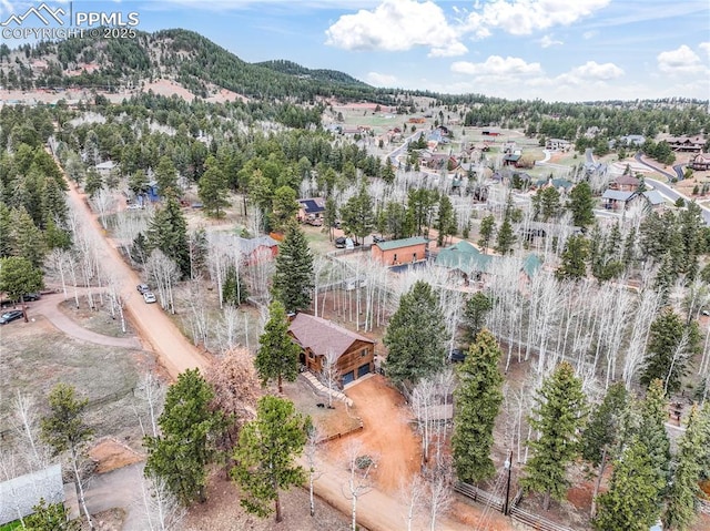 birds eye view of property featuring a mountain view