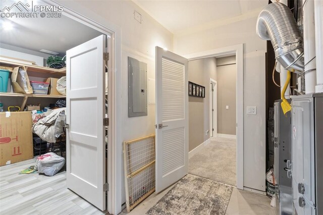 20356 Royal Troon Dr, Monument, CO 80132 - corridor with electric panel