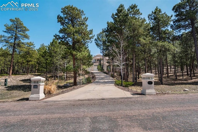 view of street with concrete driveway