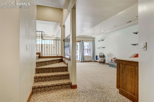 stairs with baseboards and carpet