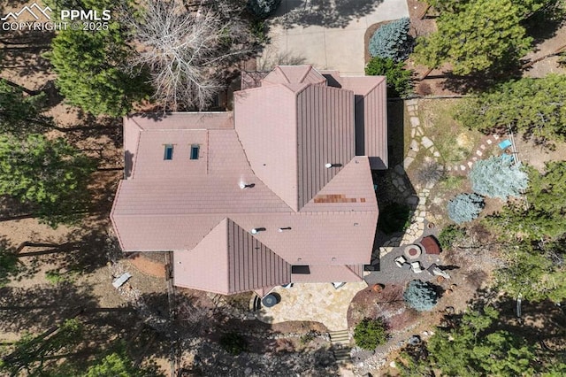 bird's eye view