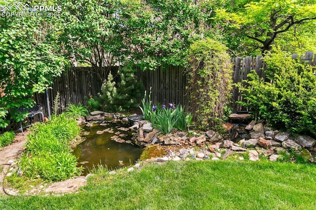 6675 Cabin Creek Dr, Colorado Springs, CO 80923 - fenced backyard featuring a garden pond