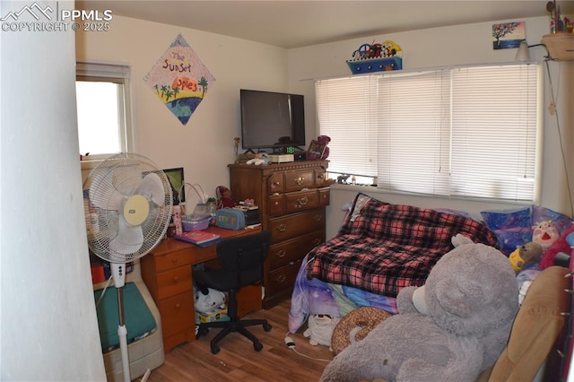bedroom featuring wood finished floors