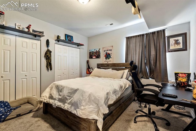 carpeted bedroom with multiple closets