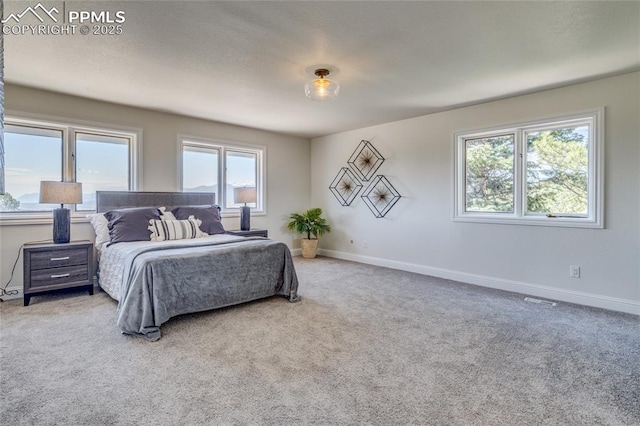 1120 Lake Woodmoor Dr, Monument, CO 80132 - carpeted bedroom with baseboards and visible vents