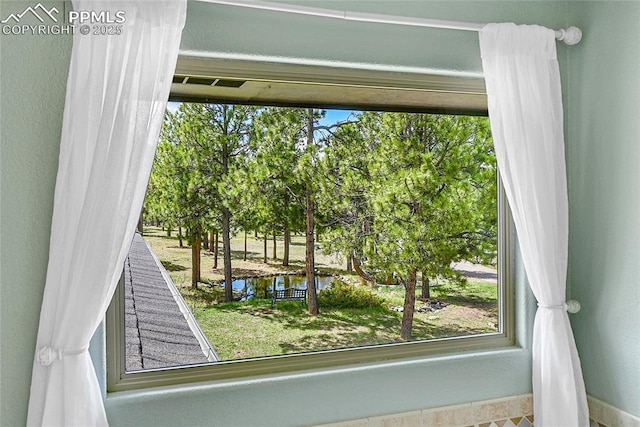 17350 Goshawk Rd, Colorado Springs, CO 80908 - doorway featuring plenty of natural light