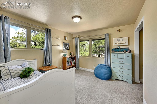 17350 Goshawk Rd, Colorado Springs, CO 80908 - bedroom with carpet floors, a textured ceiling, and baseboards