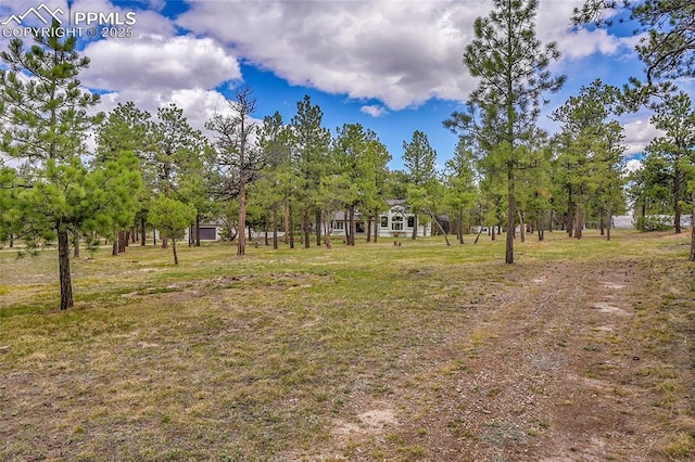17350 Goshawk Rd, Colorado Springs, CO 80908 - view of yard