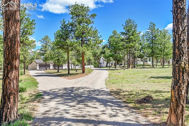 17350 Goshawk Rd, Colorado Springs, CO 80908 - view of community featuring a garage and gravel driveway