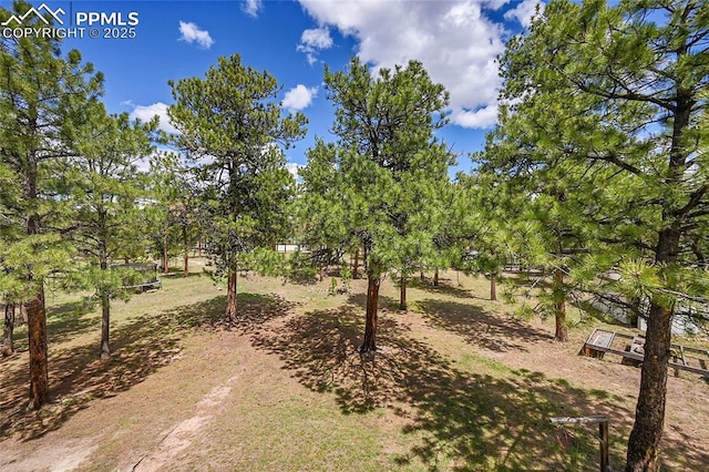 17350 Goshawk Rd, Colorado Springs, CO 80908 - view of yard with a trampoline