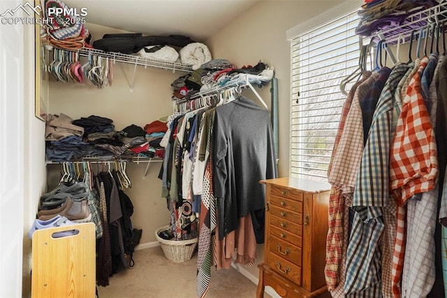 walk in closet with carpet flooring