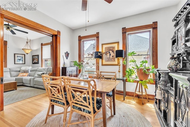 dining space featuring ceiling fan and light wood finished floors