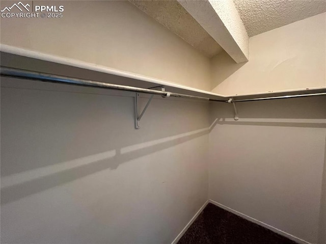 1154 Darby St, Colorado Springs, CO 80907 - view of walk in closet