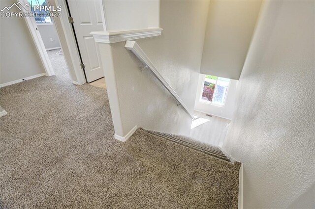 5717 Stable Ct, Colorado Springs, CO 80920 - staircase featuring carpet, a textured wall, and baseboards