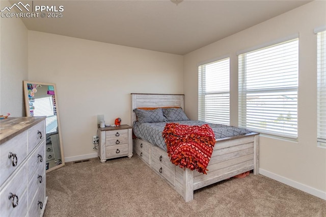 8162 Grey Bark Way, Colorado Springs, CO 80908 - bedroom with light carpet, multiple windows, and baseboards