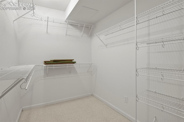 walk in closet with carpet flooring