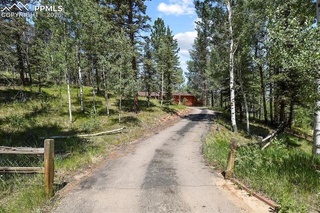 view of road with driveway