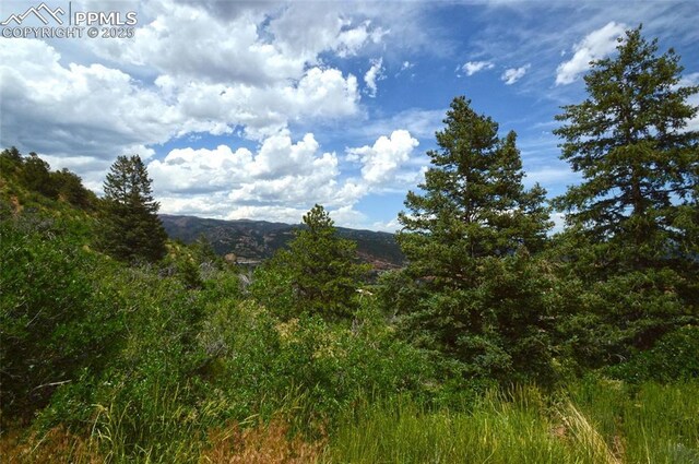 1096 Laguna Pt, Manitou Springs, CO 80829