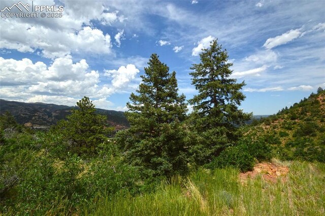 1096 Laguna Pt, Manitou Springs, CO 80829