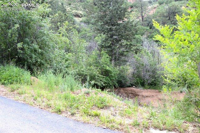 1096 Laguna Pt, Manitou Springs, CO 80829