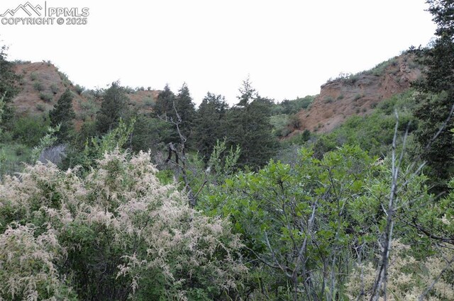 1096 Laguna Pt, Manitou Springs, CO 80829