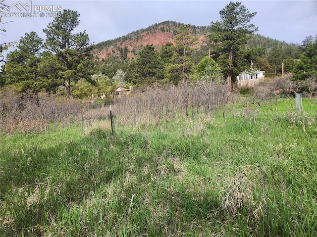 Buena Vista Ave, Palmer Lake, CO 80133
