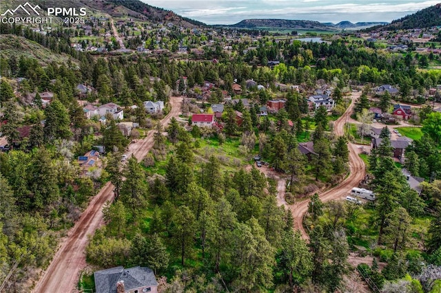 Buena Vista Ave, Palmer Lake, CO 80133