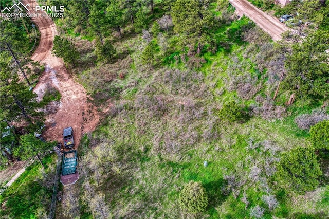 Buena Vista Ave, Palmer Lake, CO 80133