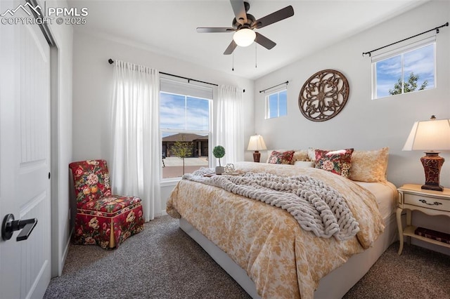 4225 New Santa Fe Trl, Colorado Springs, CO 80924 - bedroom with carpet floors and ceiling fan