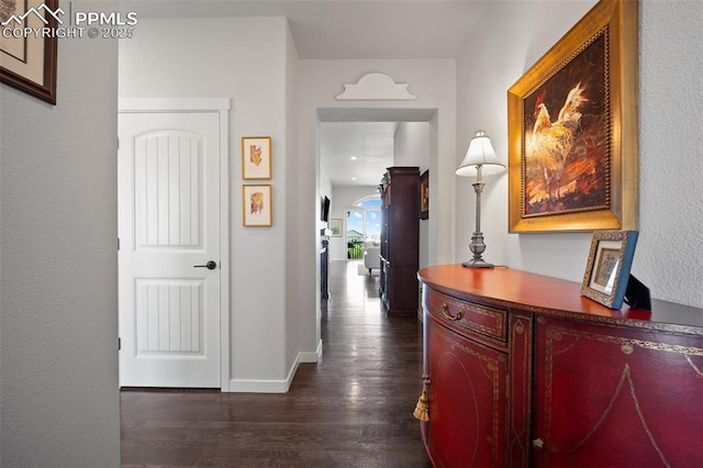 4225 New Santa Fe Trl, Colorado Springs, CO 80924 - hallway featuring dark wood-style flooring and baseboards