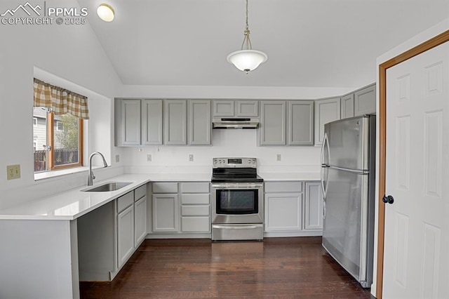 kitchen featuring under cabinet range hood, a sink, stainless steel appliances, and gray cabinetry