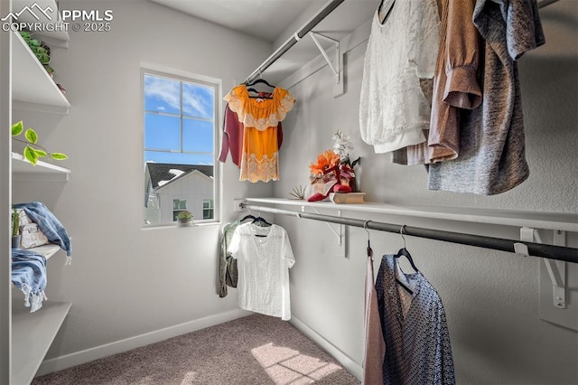 6375 Laud Pt, Colorado Springs, CO 80924 - walk in closet with carpet flooring