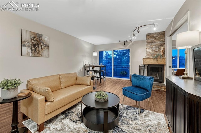 living area featuring rail lighting, wood finished floors, and a fireplace